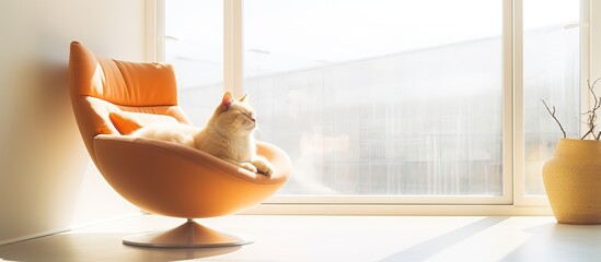 Cat lounging on chair inside house