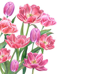 Lush bouquet with blooming tulips. Flowers with green leaves, stems. Spring romance composition with copy space for text. Watercolor illustration. For Save the date, Valentines day cards