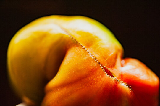 The curved surface of an oddly-shaped heirloom tomato against a black background, closeup