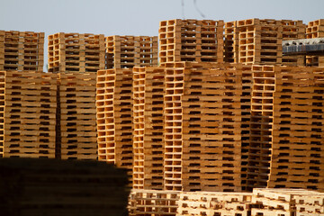 a large outdoor storage facility at a lumber mill where raw wood material is transformed and milled into wooden agriculture shipping pallets  for worldwide distribution vis shipping containers