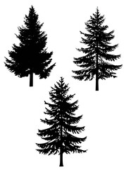 Fototapeta premium tree,chrismas tree vector design