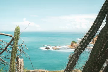 Fotobehang native prickly succulent cactus plants line the overlook high above a backdrop of turquoise blue ocean water along the Pacific coast of this tropical nation island shores © _ _