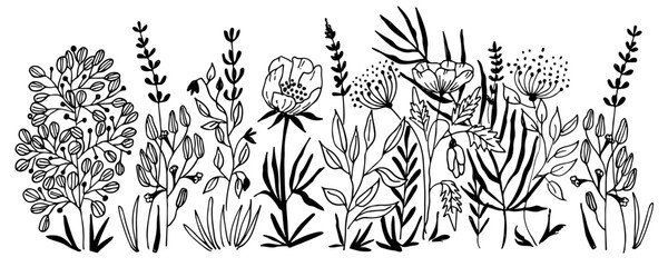 Vector nature seamless background with hand drawn wild herbs, flowers and leaves on white. Doodle style floral illustration.