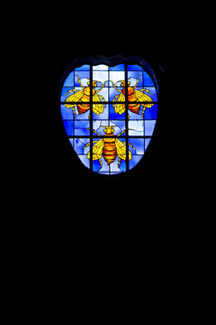 stained glass window with a drawing of 3 bees seen from inside the church of santa maria in Capitelli in the italian city of rome.