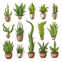 Set of green aloe vera watercolor illustrations isolated on a white background