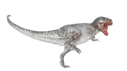 t-rex on blood is walking in white background