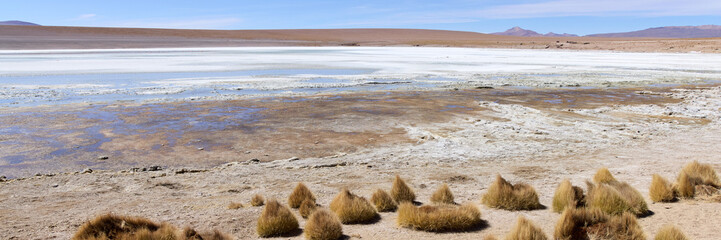 Bolivia, Laguna Kollpa in Avaroa National Park. A salt alkaline lake where flamingos feed. Paja...
