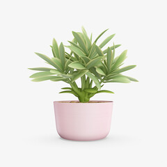 A Beautiful Potted Plant Isolated on a White Background - Embracing Simplicity and Natural Elegance in a Captivating Composition.