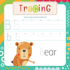 Letter Tracing Flash Card. Writing Letter B uppercase and lowercase, trace B in word Bear.  Worksheet to teach kids handwriting practice. Vector lined page for textbook