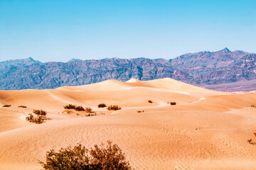 Desert and sand dunes, mysterious and amazing landscape in Death Valley, California
