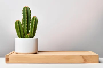 Photo sur Aluminium Cactus small spiked cactus in white pot on wood desk, gray background, copy space