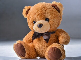 Obraz premium Teddy bear isolated at white background