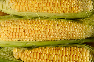 Corn cobs