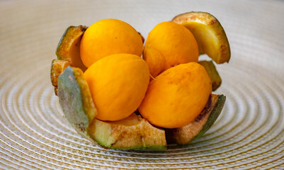 Naklejka na ściany i meble Ripe Pequi fruit (Caryocar brasiliense), wild fruits typical of the Brazilian cerrado biome.