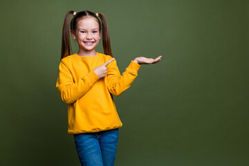 Photo of nice schoolgirl with ponytails wear yellow pullover indicating at object on palm empty...