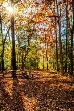 Beautiful colorful Nature Fall Scenery