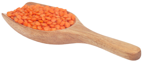 Some fresh red lentil