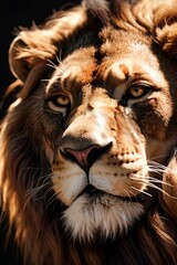 Naklejka premium AI generated illustration of a majestic lion face against a dark background