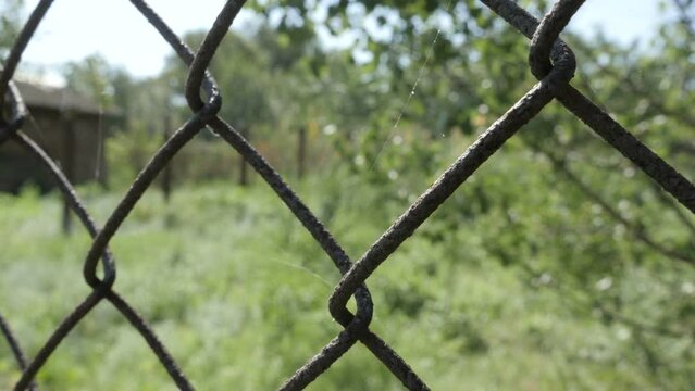 Close Up Of Mesh Netting. Rabitz
