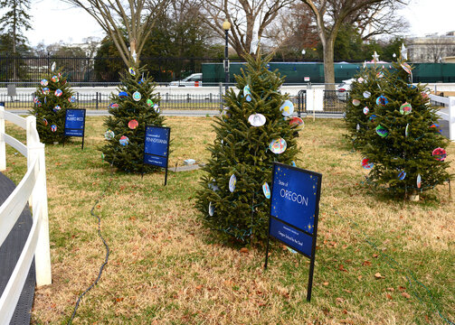 Christmas Trees decorated with handmade ornaments from 56 U.S. states and territories in Presidentâ€™s Park on White House Ellipse. Washington, D.C., United States