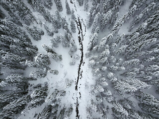 Aerial panorama of a frozen mountain stream flowing through a snowed coniferous woodland. Winter...