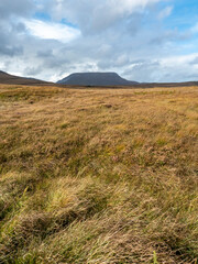 Obraz premium The Muckish mountain seen from Glenveagh National Park in County Donegal - Ireland
