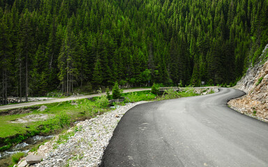 Driving along wild fir and spruce tree forests on Transbucegi road, a high altitude mountainous road. Bucegi Massif, Carpathia, Romania.