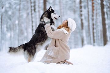 Cute woman playing with her dog in the snow. A happy woman and a Siberian husky are walking...
