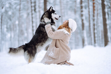 Cute woman playing with her dog in the snow. A happy woman and a Siberian husky are walking together in a snowy forest. The concept of holiday, relaxation.