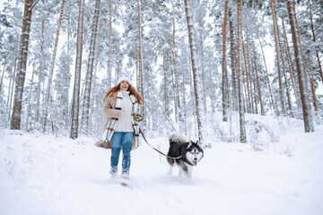 Cute woman playing with her dog in the snow. A happy woman and a Siberian husky are walking together in a snowy forest. The concept of holiday, relaxation.