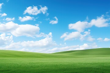 green field and blue sky