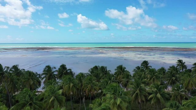 Praia do Patacho na Rota dos Milagres em Alagoas Visto de Cima com D\rone 4k - Nordeste - Brasil - 