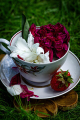 Garden composition, peony petals in a white cup, strawberries in the garden