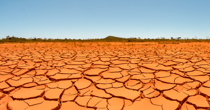 Imagem do solo &aacute;rido e rachado do sert&atilde;o nordestino brasileiro