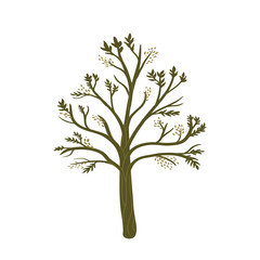 tree with flying leaves on a white background. tree drawing