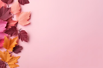 Obraz premium Autumn leaves in various colors on a pink backdrop with adjacent empty area