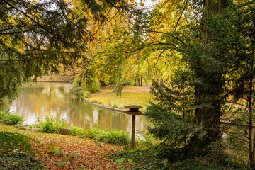un petit lac dans un parc autour de arbres en automne