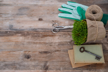 Green plants, gloves, scissors, gardening accessories on wooden table, concept transplanting...
