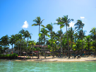 Mauritius Strand mit Palmen