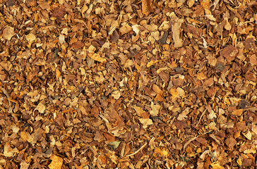 Dried tobacco leaves texture as background, top view. Smoking tobacco texture.