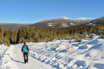 Fototapeta na wymiar The young man is walking along the snow-covered hiking trail, from the trail you can see the mountain landscape - the Sudetes.