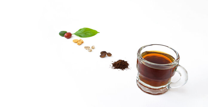 Etapas de producci&oacute;n de caf&eacute; org&aacute;nico. Granos de tipo ar&aacute;bica o ar&aacute;bigo. Proceso desde la maduraci&oacute;n de la cereza hasta la molienda e infusi&oacute;n sobre superficie blanca. 
