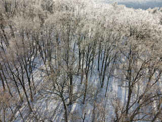 Obraz na płótnie Canvas Kentucky Hills Snow