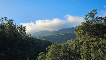 Obraz premium clouds over the mountains