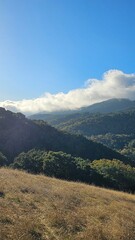 mountain landscape in the mountains