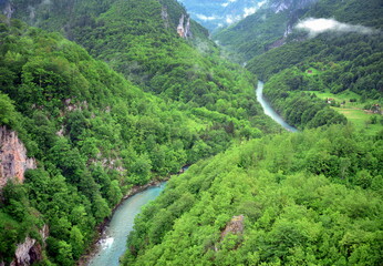 Tara Canyon, is located within the Durmitor National Park, on the UNESCO list, one of the most...