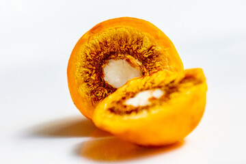 Ripe Pequi fruit (Caryocar brasiliense), showing the dangerous thorns in detail inside the ripe fruit. Dangerous food fruit
