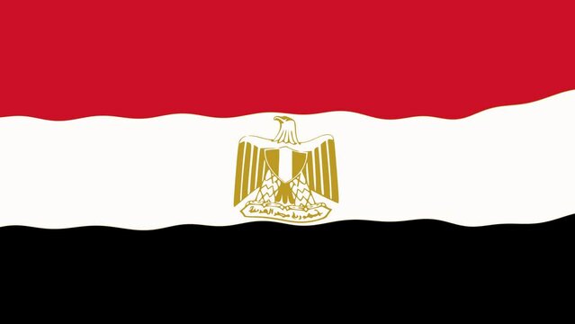 Waving Egypt Flag Background Animation
