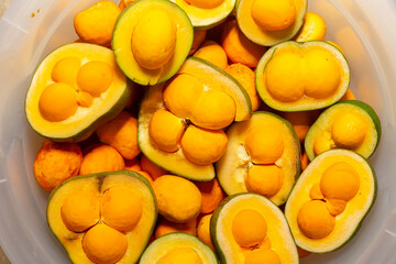 Ripe Pequi fruit (Caryocar brasiliense), wild fruits typical of the Brazilian cerrado biome.