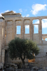 Naklejka premium Erecteion